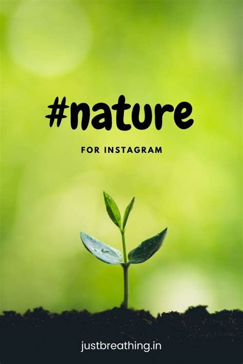 hashtag for nature beauty|best hashtags for nature photography.